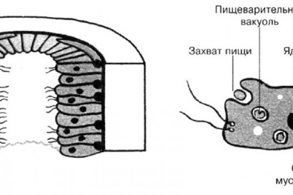 Кракен интернет площадка