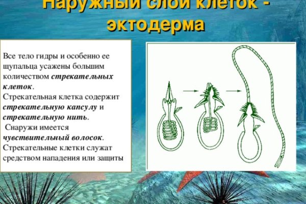 Кракен маркетплейс как зайти