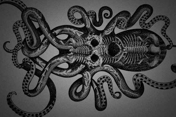 Кракен магазин kraken clear com