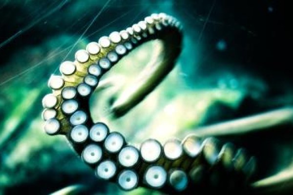 Кракен официальная ссылка kraken torion