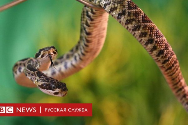 Кракен даркнет лол