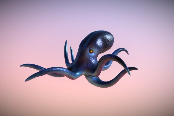 Kraken forum