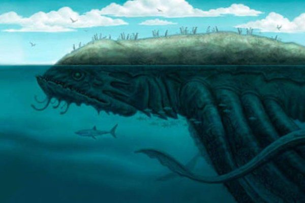 Kraken что это такое